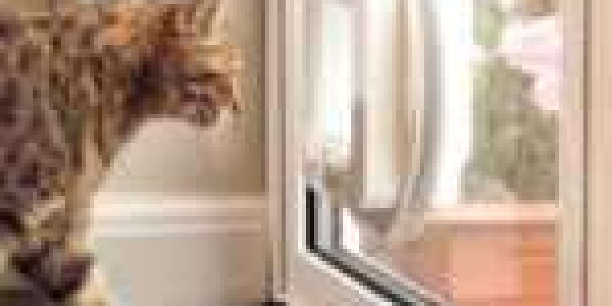 Will Professional Cat Flap Installer Ever Rule The World?